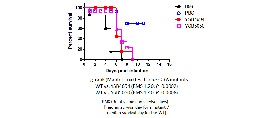 Galleria mellonella virulence data