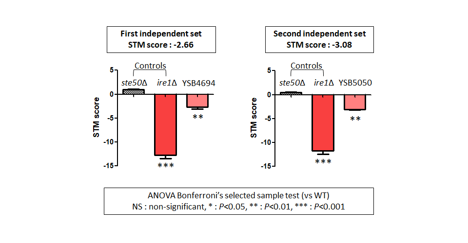 STM murine host model data