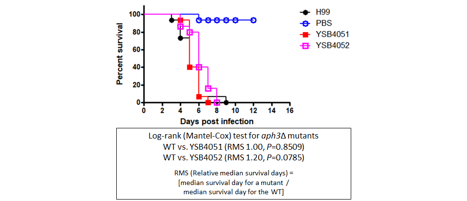 Galleria mellonella virulence data
