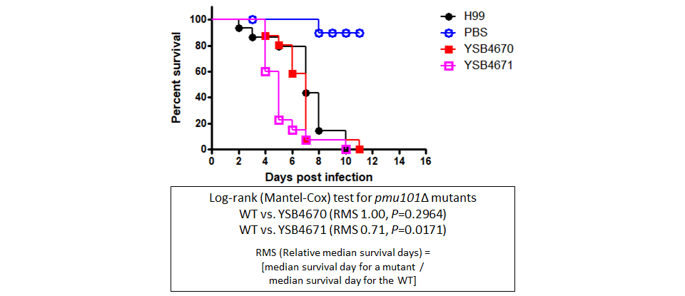 Galleria mellonella virulence data