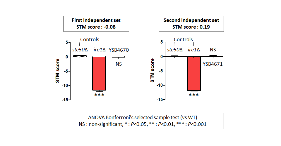 STM murine host model data