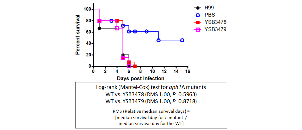 Galleria mellonella virulence data