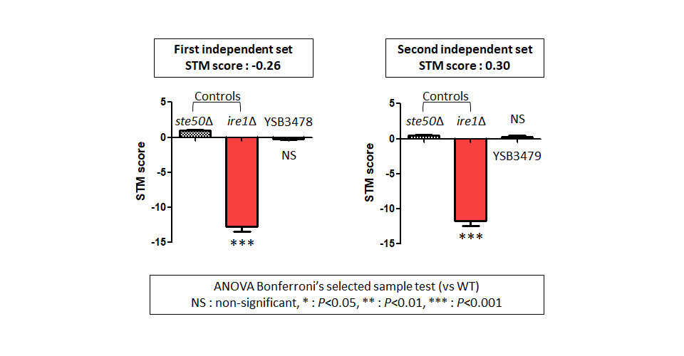 STM murine host model data