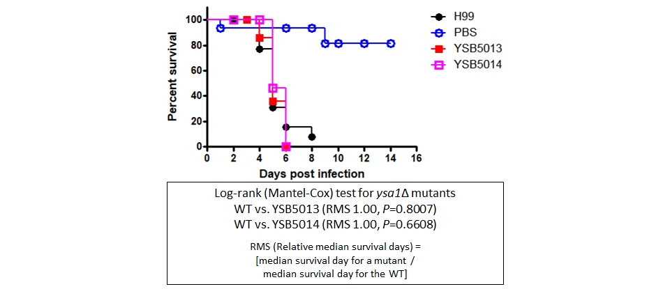 Galleria mellonella virulence data