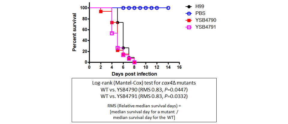 Galleria mellonella virulence data