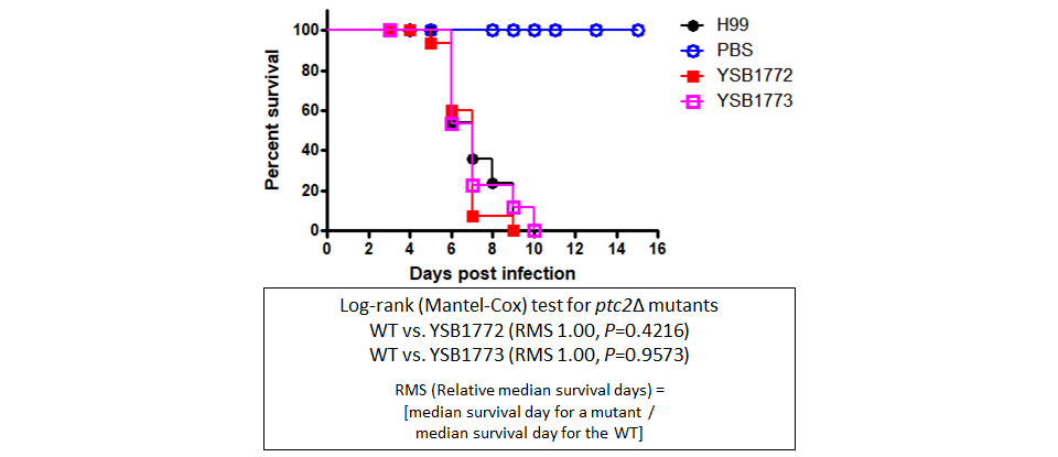 Galleria mellonella virulence data