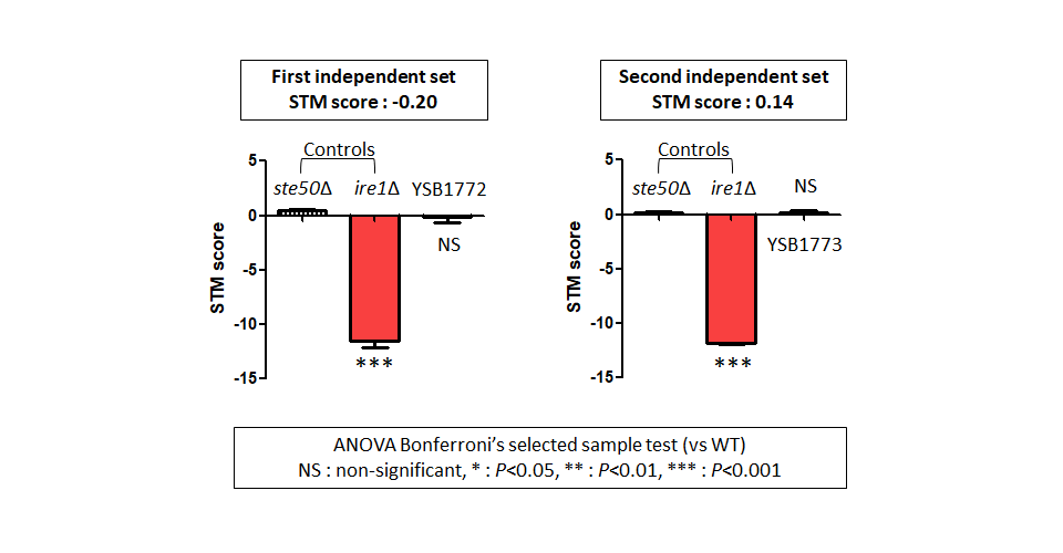 STM murine host model data