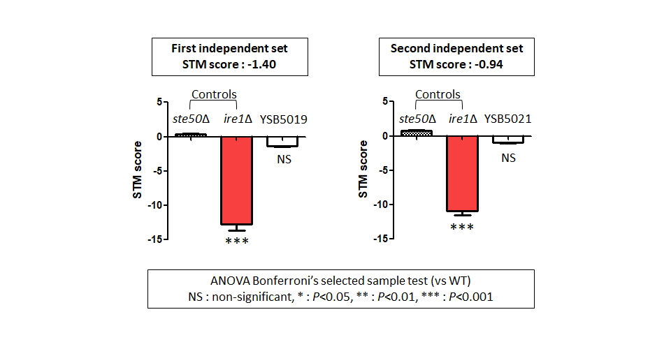 STM murine host model data