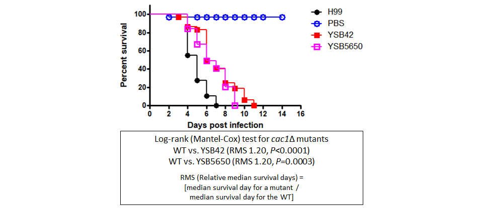 Galleria mellonella virulence data