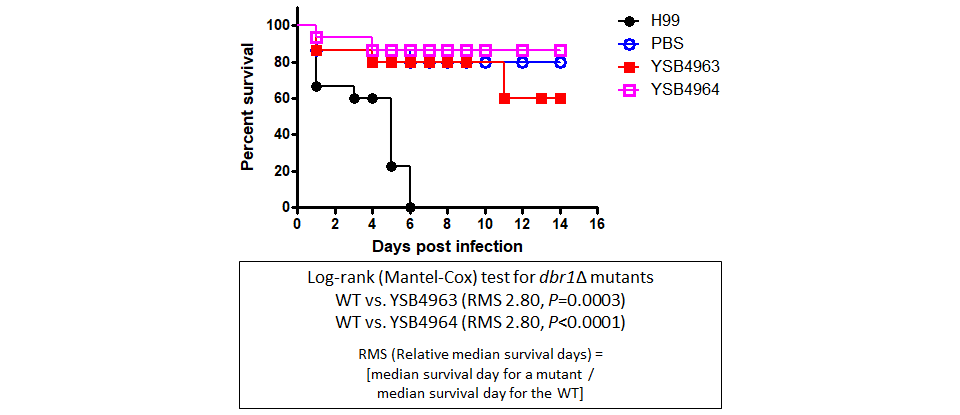 Galleria mellonella virulence data