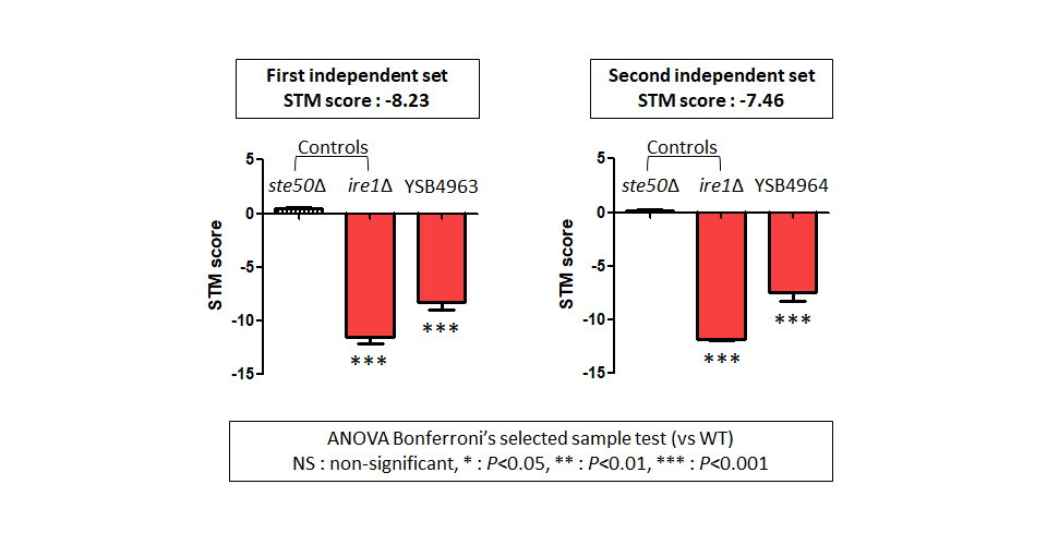 STM murine host model data