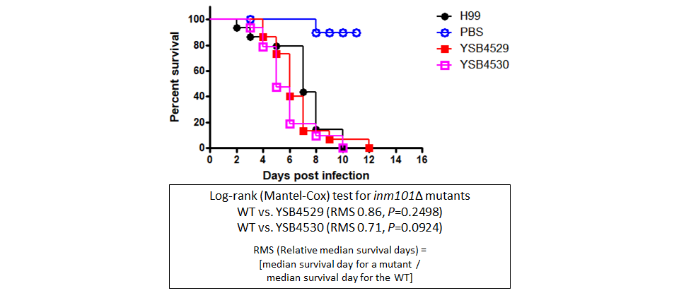 Galleria mellonella virulence data
