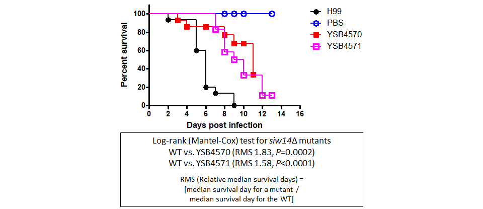 Galleria mellonella virulence data