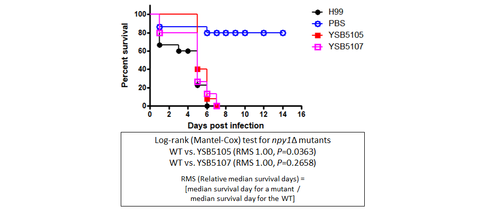 Galleria mellonella virulence data