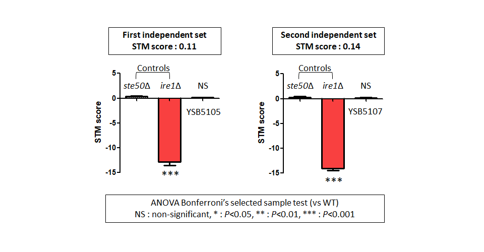 STM murine host model data