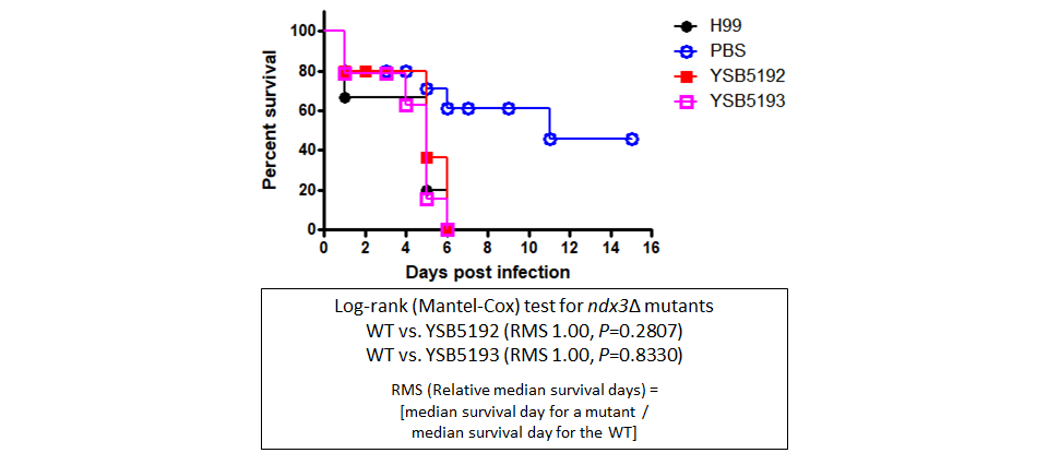 Galleria mellonella virulence data