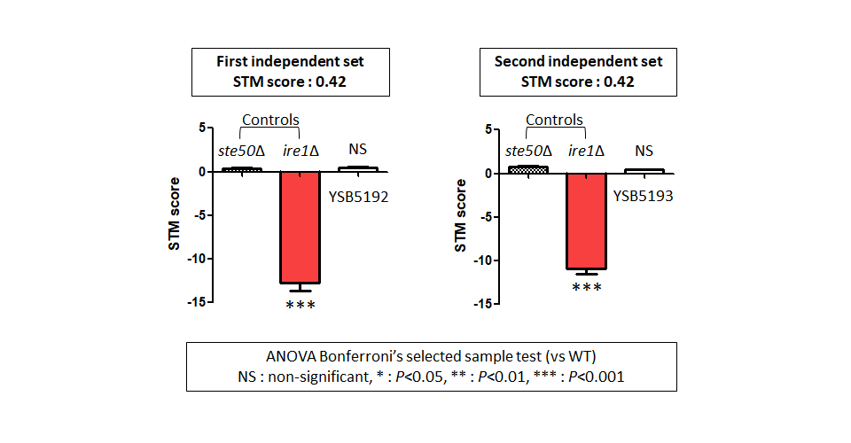 STM murine host model data