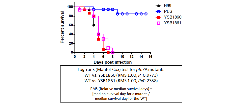Galleria mellonella virulence data