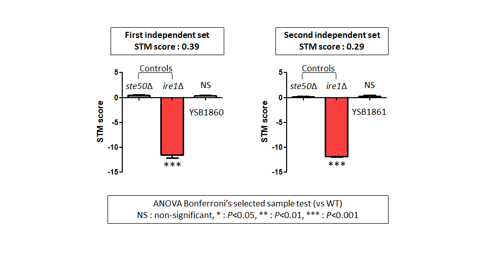 STM murine host model data