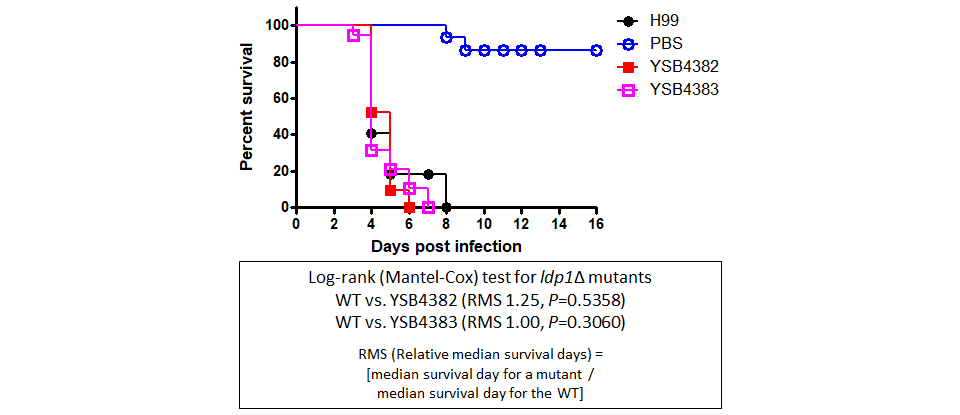 Galleria mellonella virulence data