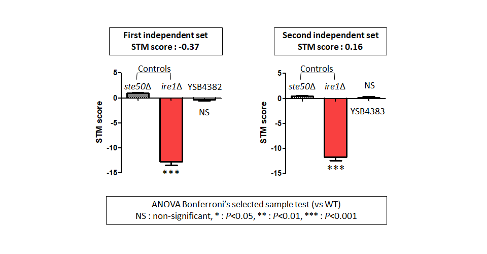 STM murine host model data