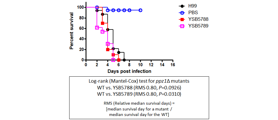 Galleria mellonella virulence data