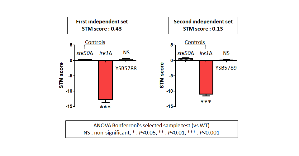 STM murine host model data