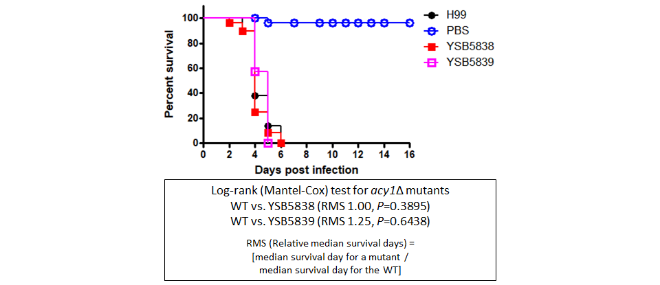 Galleria mellonella virulence data