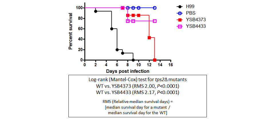 Galleria mellonella virulence data