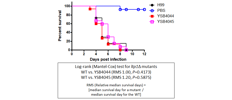 Galleria mellonella virulence data