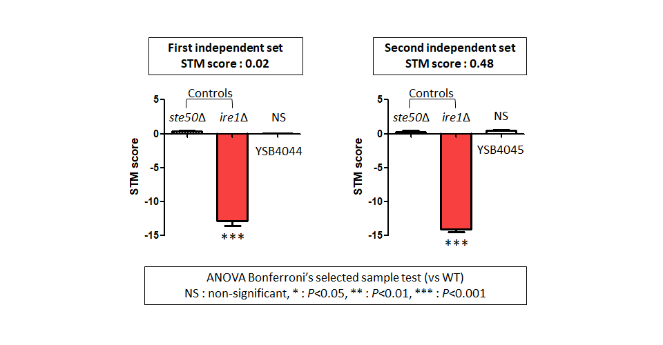 STM murine host model data