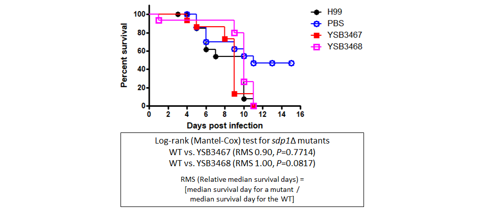 Galleria mellonella virulence data
