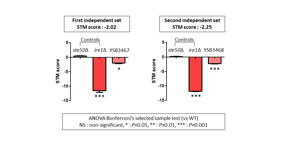 STM murine host model data