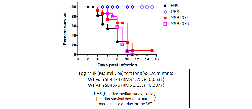 Galleria mellonella virulence data