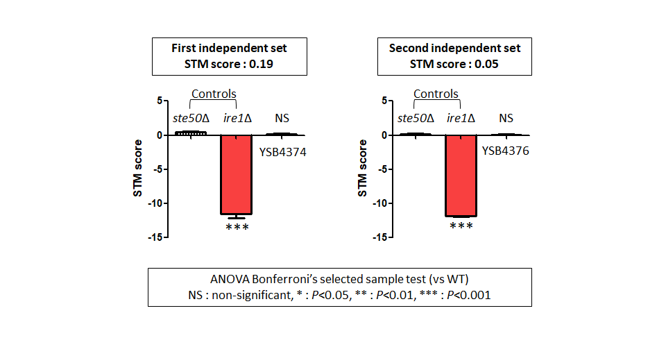 STM murine host model data