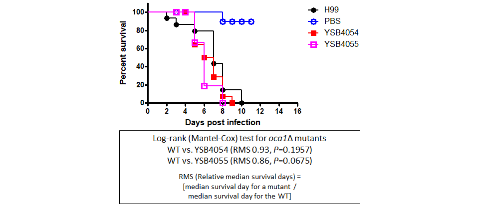 Galleria mellonella virulence data