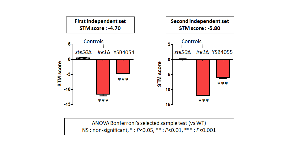 STM murine host model data