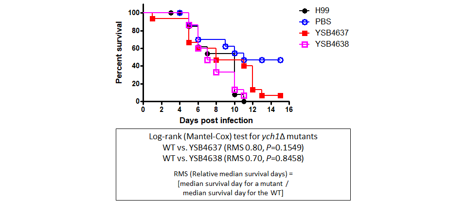 Galleria mellonella virulence data