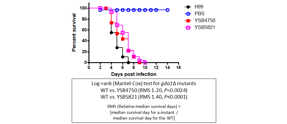 Galleria mellonella virulence data