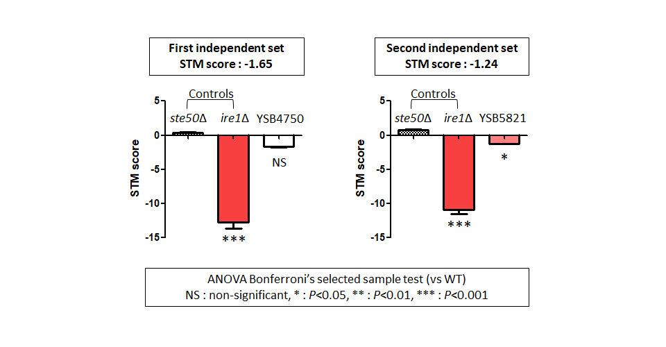 STM murine host model data