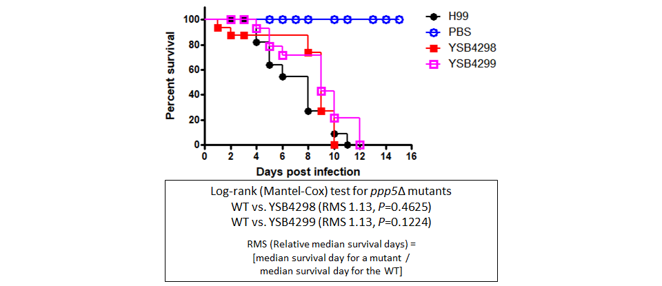 Galleria mellonella virulence data