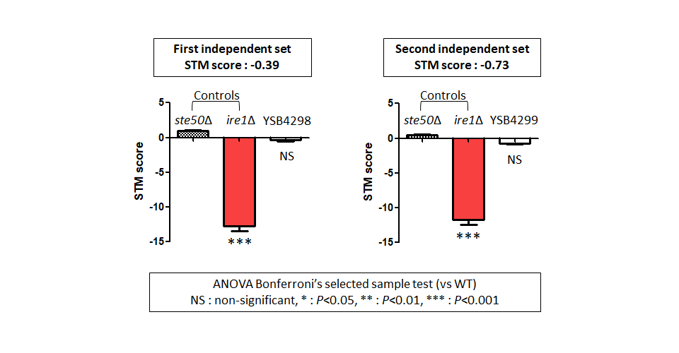 STM murine host model data