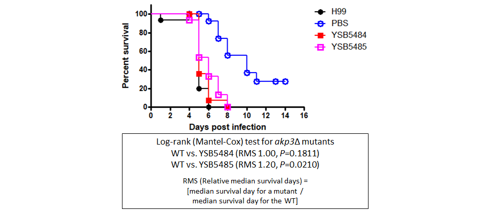 Galleria mellonella virulence data