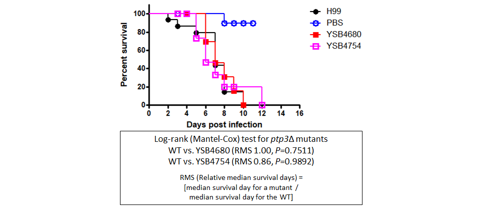 Galleria mellonella virulence data