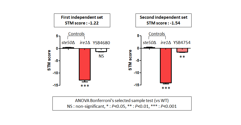 STM murine host model data