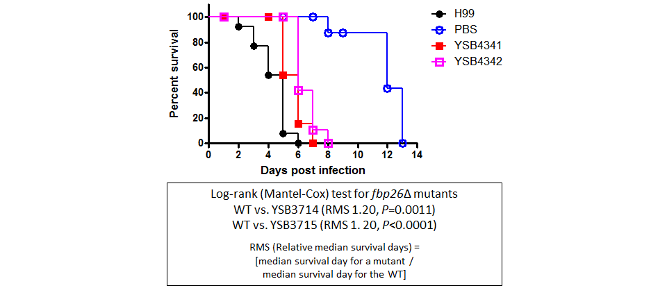 Galleria mellonella virulence data