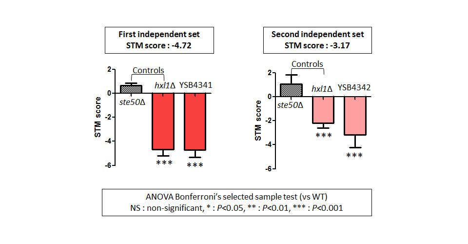 STM murine host model data