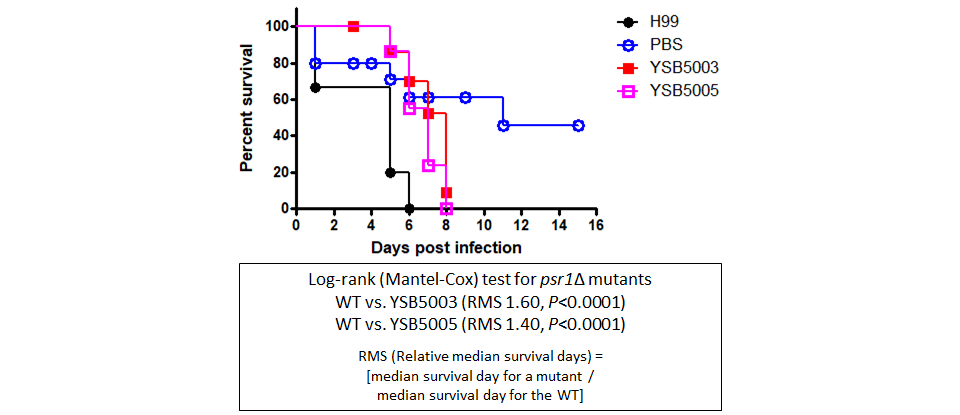 Galleria mellonella virulence data