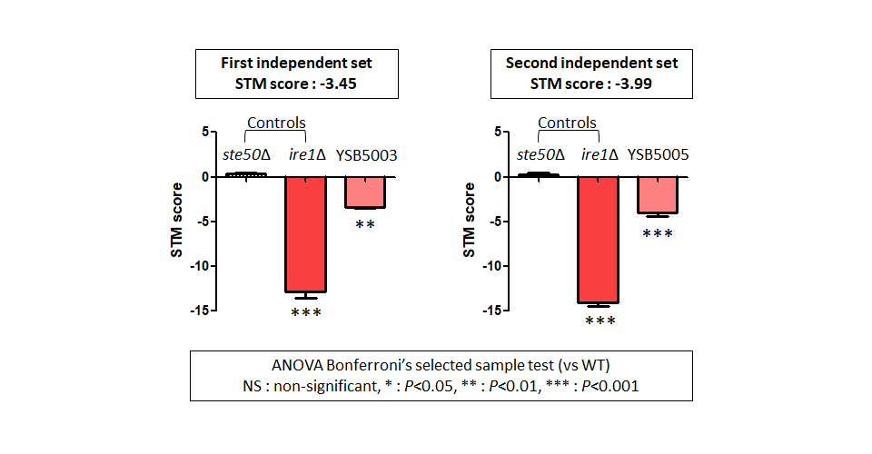 STM murine host model data