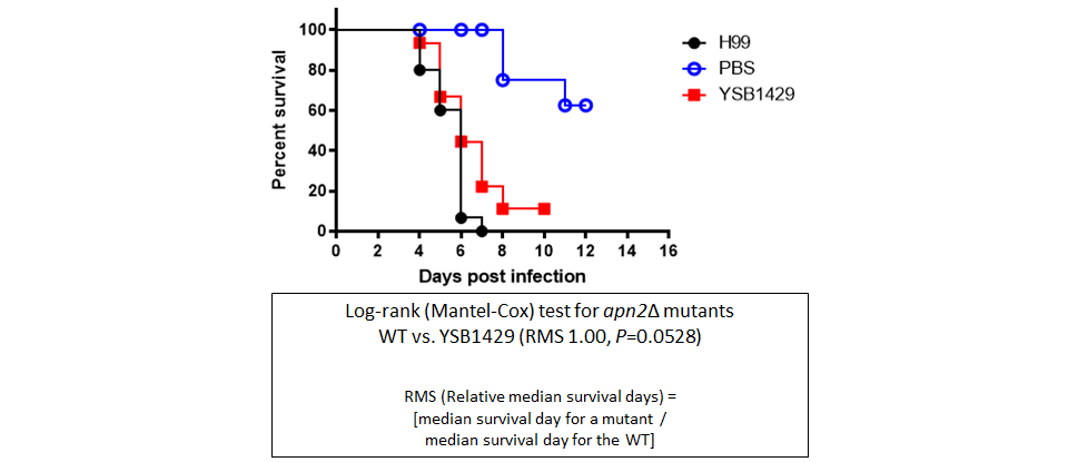 Galleria mellonella virulence data